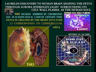 1ST JOHN 1-1 BIBLICAL SUNLIGHT OF THE- WORLD AS SEEN IN MICRO BIOLOGY 101 GLOWING AROUND THE CHEMICAL CIRCULAR AREA OF THE HUMAN CELL 75