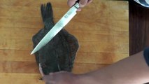 Filleting a Sole - How to Fillet a Flounder/Fluke - Butchering a Flounder - Sole - Cooking Classes