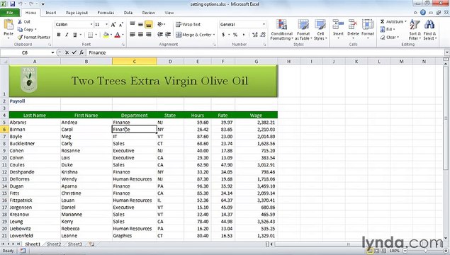 MS Excell Setting Excel options