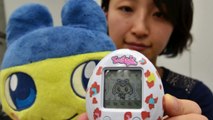 Tamagotchi Friends Reviews - From Tamagotchi To Tamagotchi Friends