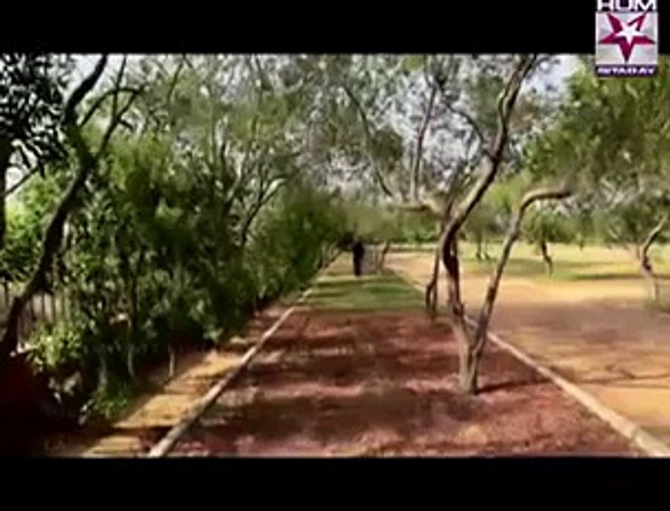 Bhanwar Title Song _ OST HUM SITARAY Drama