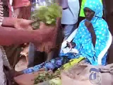 Somalia invaded by Ethiopian Mercenary Army & US Jan.2007