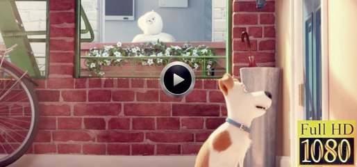 The Secret Life of Pets Full Movie