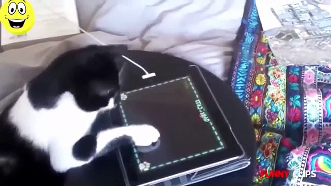 Funny Videos - Funny Pranks - Funny Girl - Funny Fails - Best Funny Videos 2015
