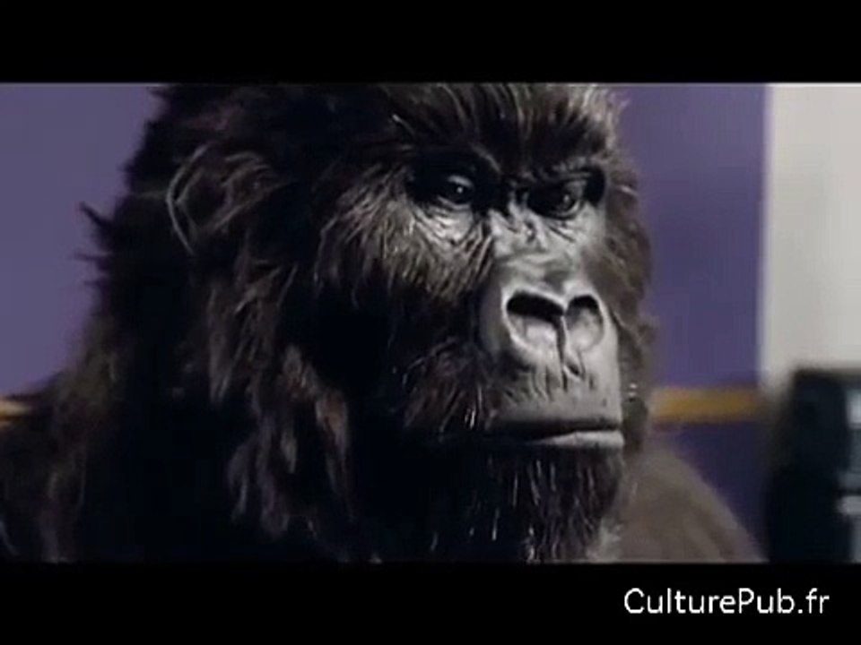 Cadbury's - Wild gorilla drumming on Phil Collins