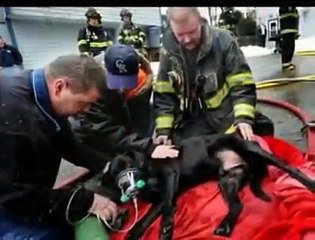 Amore, non è solo una parola A.L.F.