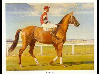 Phar lap :(