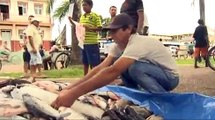 Mais de 250 pescadores protestam na Beira do Rio Xingu contra Belo Monte !