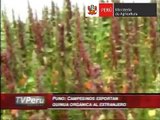 MINAG - AGRORURAL - Quinua orgánica del Perú para el mundo