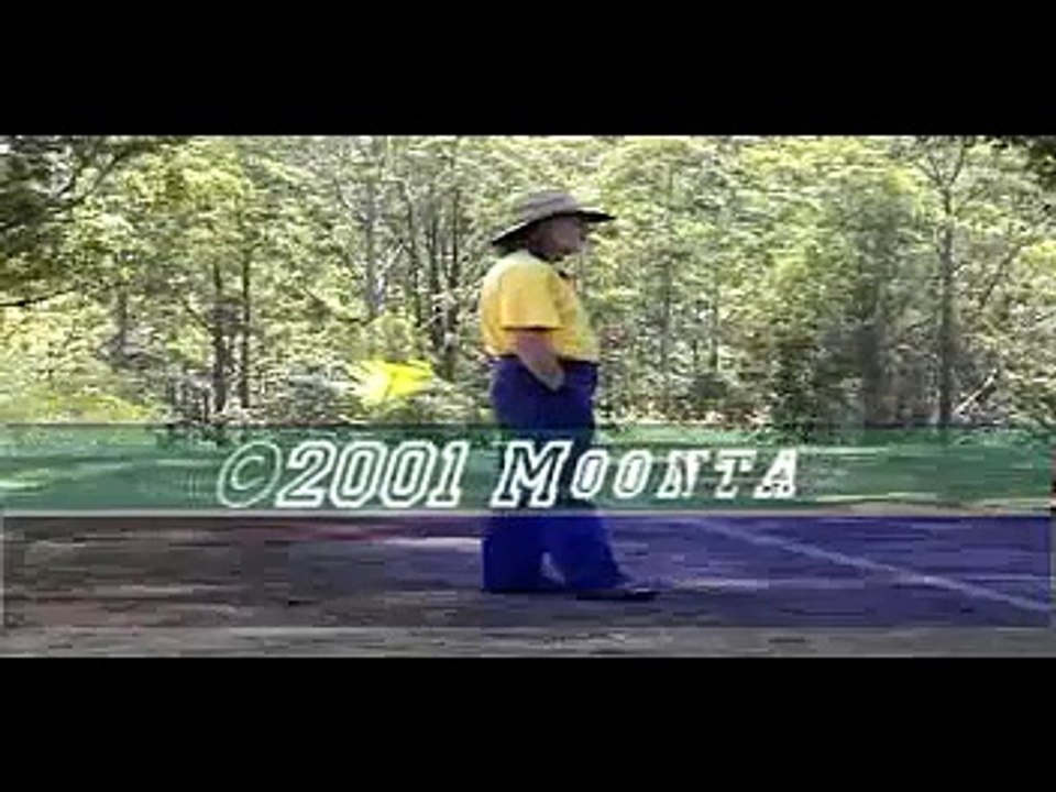 Tai Chi: Power Push Hands: Montaigue