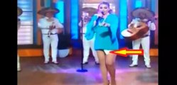 Mexican Singer Patricia Navidad Loses Sanitary Pad During Live TV Performance