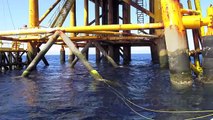 SPEARFISHING OIL RIGS