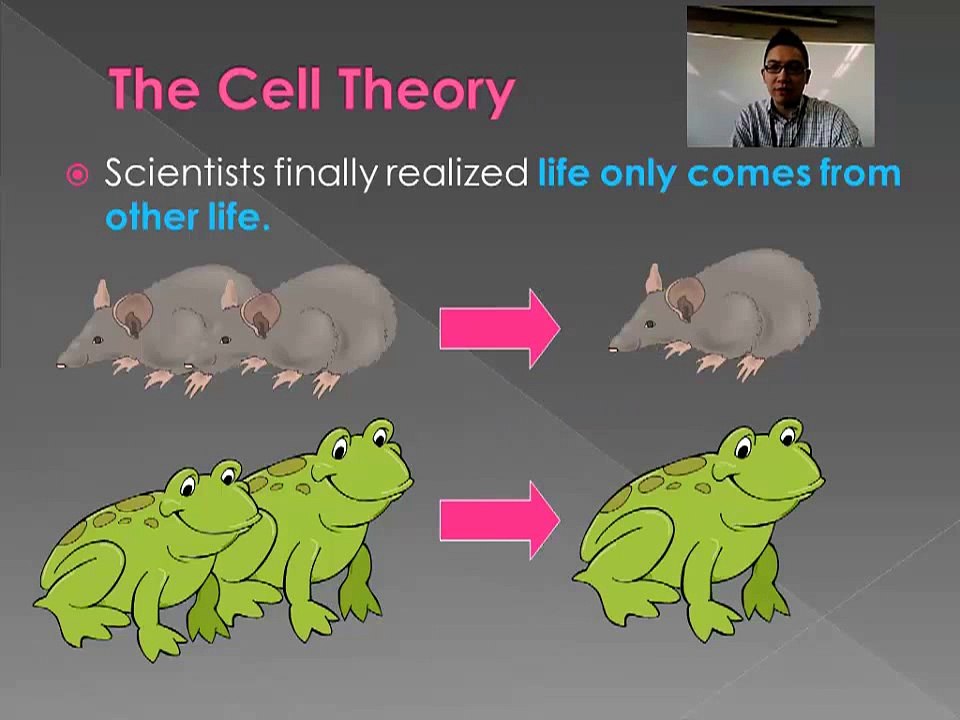 Cell Theory