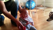 Funny baby laugh, baby plays with dog, can't stop laughing