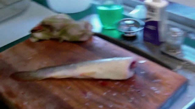 Poisson mort pas si mort que ça : flippant!