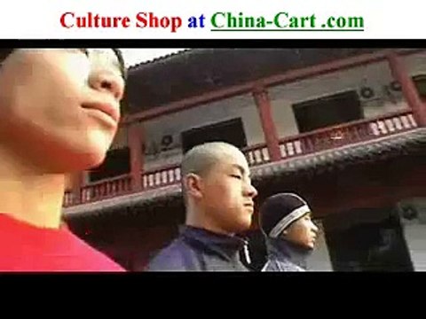 Leopard Kung Fu Shaolin styles leopard fist bao quan baoquan