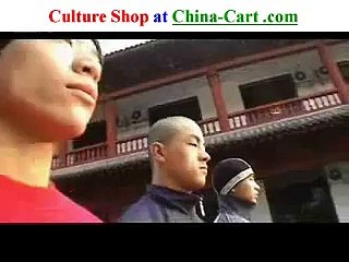 Leopard Kung Fu Shaolin styles leopard fist bao quan baoquan