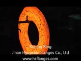 Forging Flange Rings - Jinan Hyupshin Flanges Co., Ltd - www.hsflanges.com
