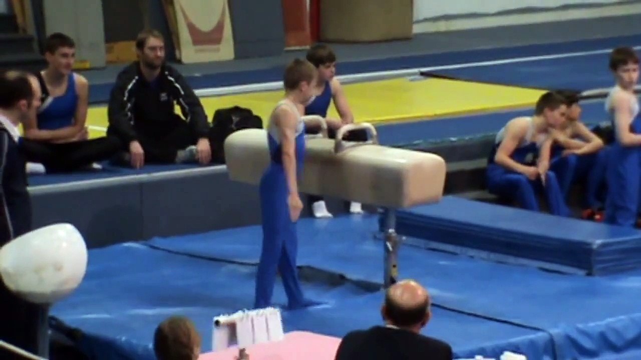 boys Level 6 states - Gymnastics Floor - Pommel Horse - Rings - Vault - Parallel Bars - High Bar