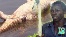 Cocodrilo gigante en Uganda devora a una mujer embarazada