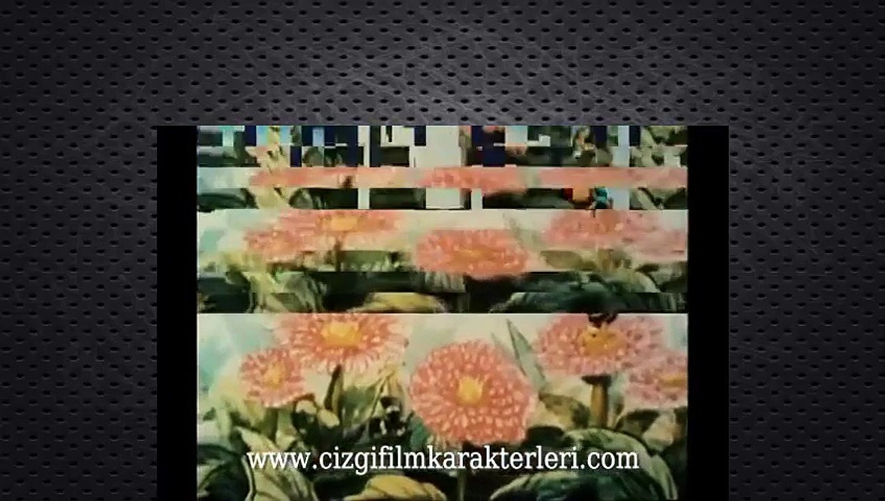ARI MAYA İZLE