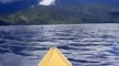 Kayaking with Orcas , Queen Charlotte Sound, New Zealand