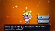 [LIVE!] Shiny Smoochum hatched after 175 eggs on Pokemon X!