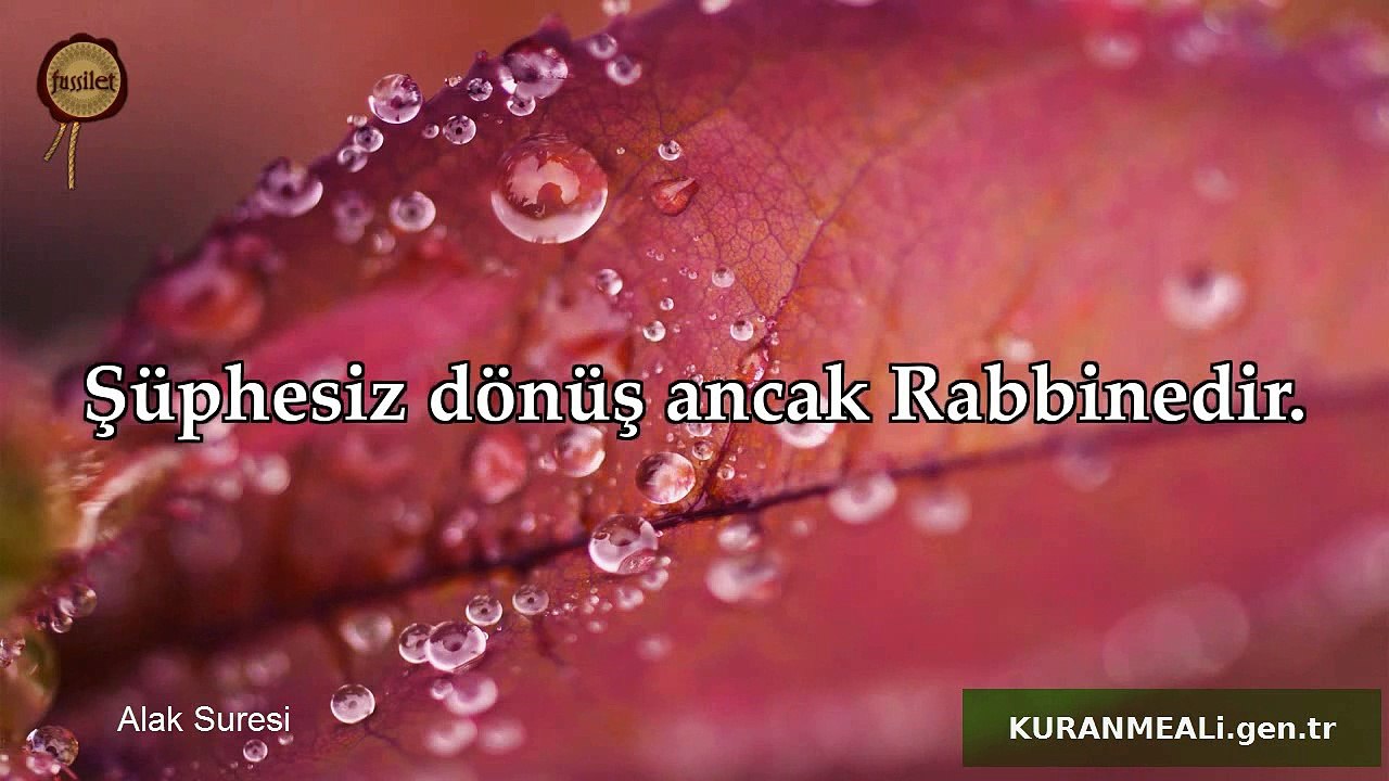 Alak suresi