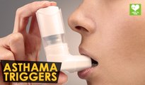 What are Triggers Of Asthma | Health Tone Tips | Education