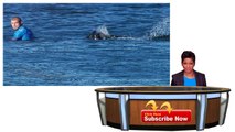 Mick Fanning Attacked By Shark in South Africa