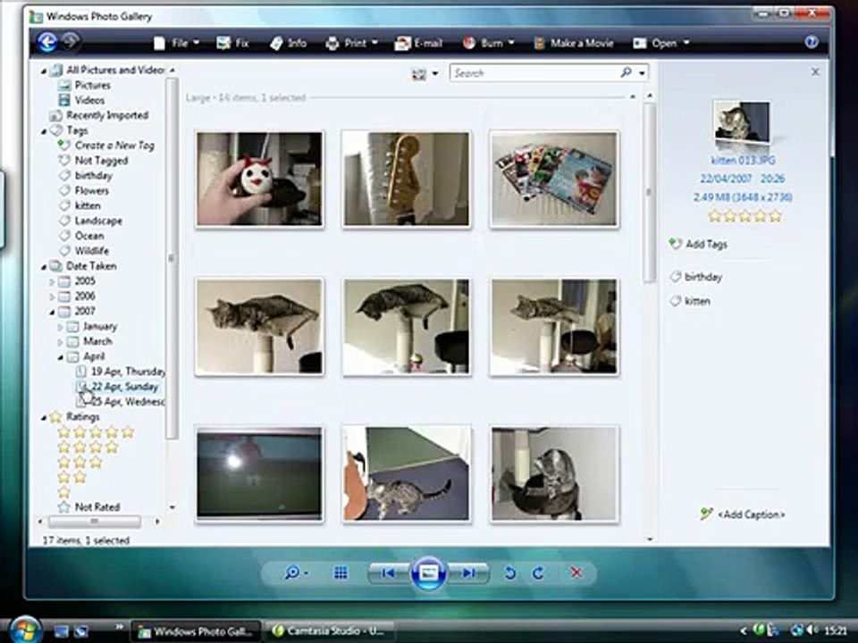 How to sort your photos in Windows Photo Gallery