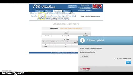 More MCA Income Proof