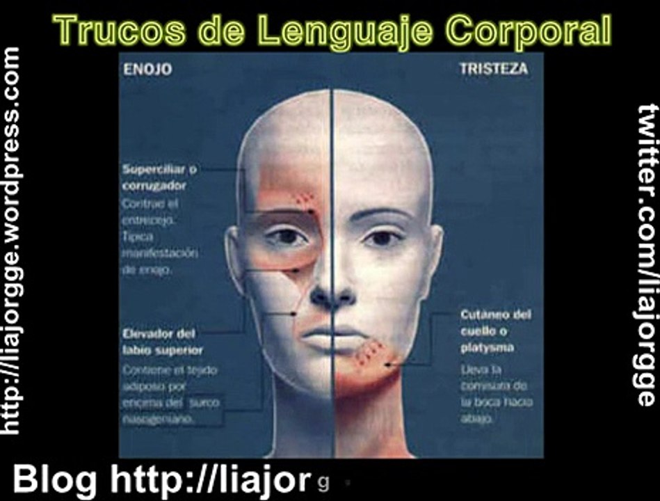 Lenguaje Corporal Video y Descarga Ebook Gratis Tips, Trucos y Secretos