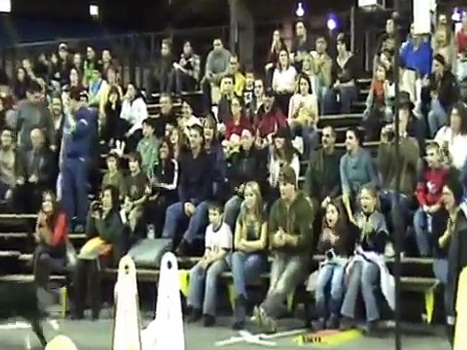 DogZworth: Flyball at the Big O - au Stade! Nov 2007