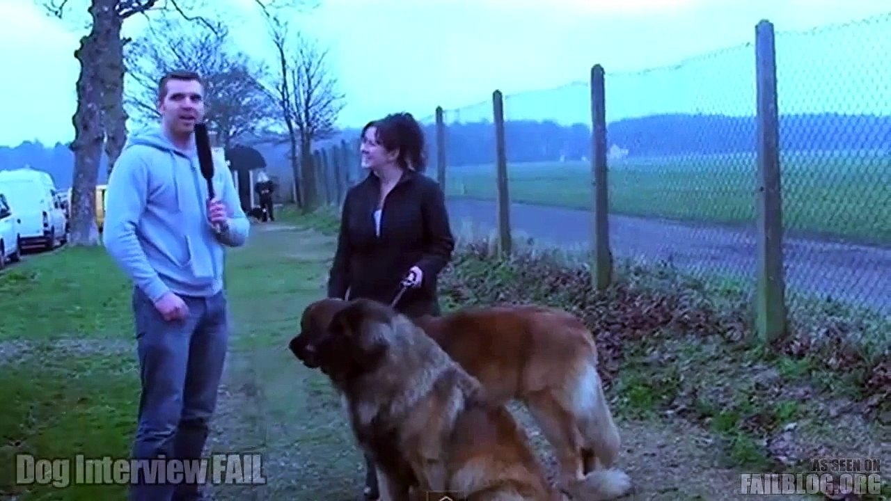 Dog Interview FAIL