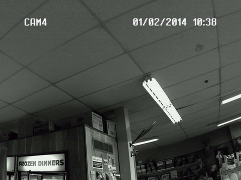 Grizzly Bear Trashes Convenience Store, Photobombs Camera