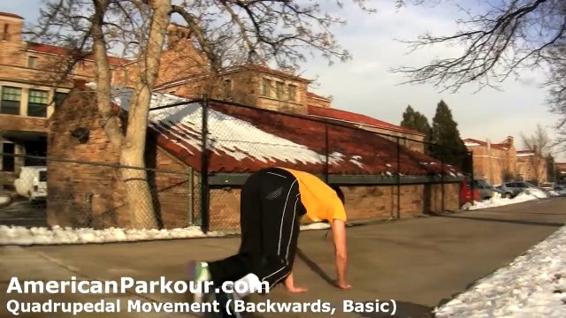 Quadrupedal Movement (Backwards, Basic) - Parkour Training and Conditioning Exercise