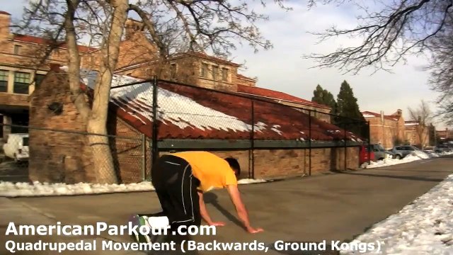 Quadrupedal Movement (Backwards, Ground Kongs) - Parkour Training and Conditioning Exercise