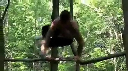 Brayden Jones 2008 Sampler