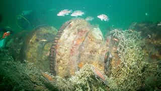 Shipwrecks In The Bermuda Triangle