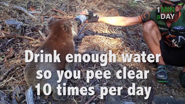 Top 3 Success Principles of Durianrider   1MINaDAY