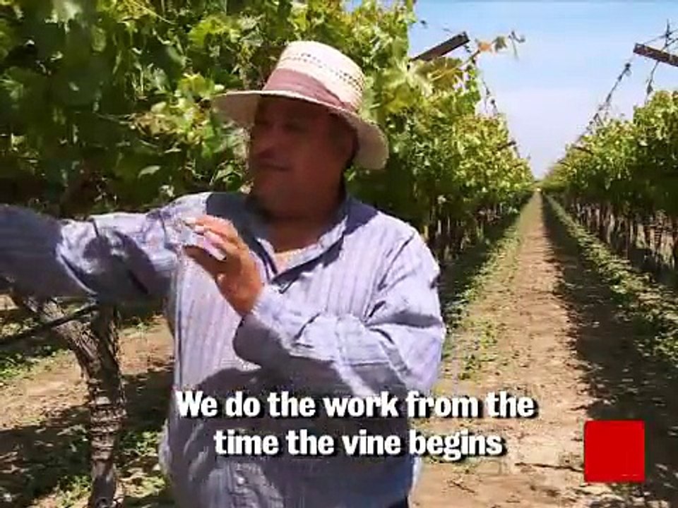 Steinbeck Country: Otilo Pasina -- video.newsweek.com