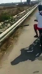 Ils roulent en mobylette à contresens sur une autoroute au Maroc