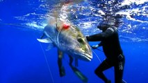 Paradise Found-Spearfishing Bahamas 2013