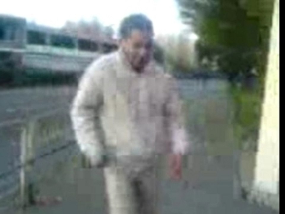 peuplier o vieux sapins o bayeux