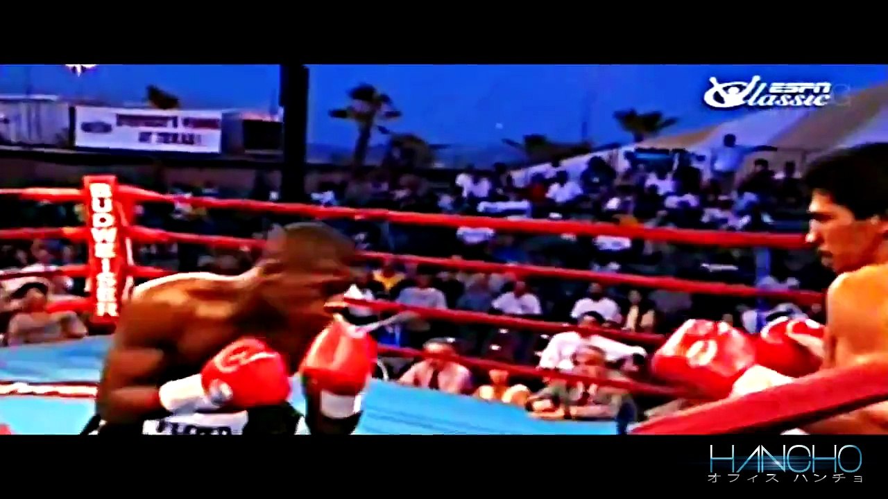 Top 15 Greatest Floyd Mayweather Knockouts HD