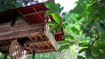 Flutterby House in Uvita Costa Rica | The Hostel by the Sea