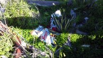 Stumbling Upon An Old Bush Dump - Gargoyle Mobil Oil Enamel Sign - Relics & Old Bottles