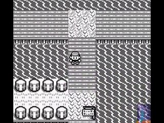 Quelques idées reçues sur MissingNO., distinguer le vrai du faux