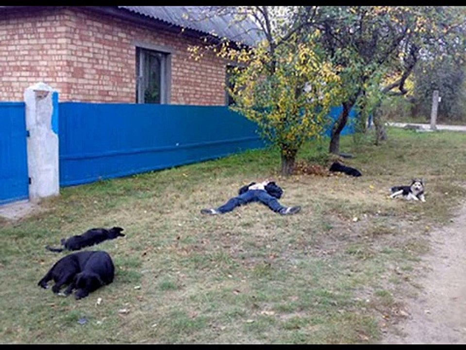 Funny Pictures, Only in Russia,